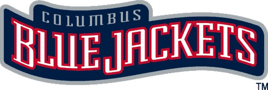 Columbus Blue Jackets 2000-2007 Wordmark Logo DIY iron on transfer (heat transfer)